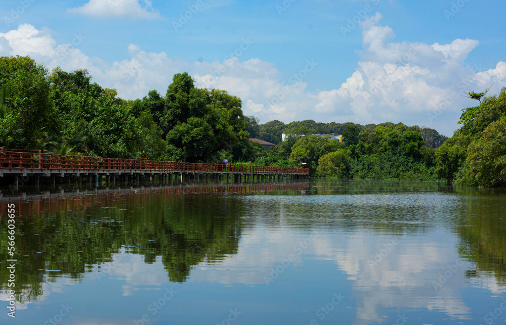 water, river, landscape, lake, sky, nature, summer, reflection, tree, forest, trees, park, green