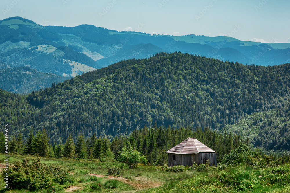 Small hut on the slope of mountains in summer, with beautiful hills, forest, sky in background, pastoral and idyllic landscape in Carpathians, Ukraine, part of touristic hiking and trekking trail