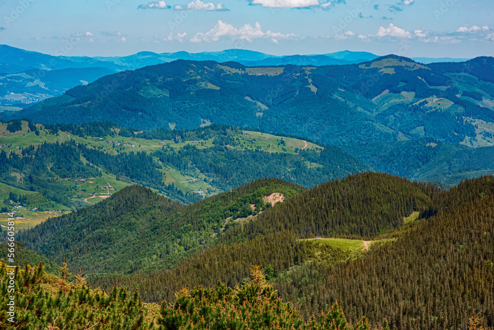 Scenic colourful panorama of Carpathian mountains in summer:  blue peaks, sky and clouds in background; warm forested foreground; amazing landscape for wonderful vacation, traveling, hiking, trekking