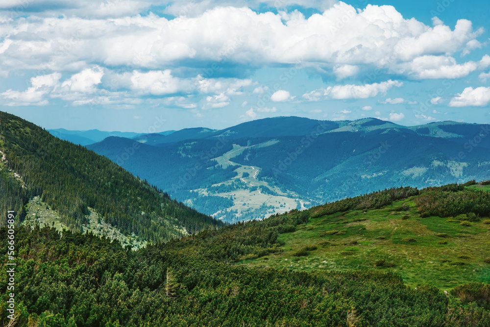 Beautiful scenery of forested Carpathian mountains in summer, green in foreground, blue in background, the road runs away; amazing nature landscape with expressive voluminous sky and clouds