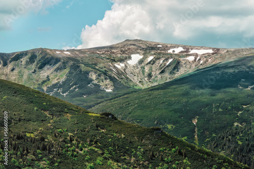 View of Carpathian mountains in summer, green forest in foreground, rocks, peak, sky, clouds, snow, streams in background; amazing nature landscape, hiking and trekking trail, centre of active tourism