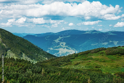 Beautiful scenery of forested Carpathian mountains in summer, green in foreground, blue in background, the road runs away  amazing nature landscape with expressive voluminous sky and clouds © upparadox
