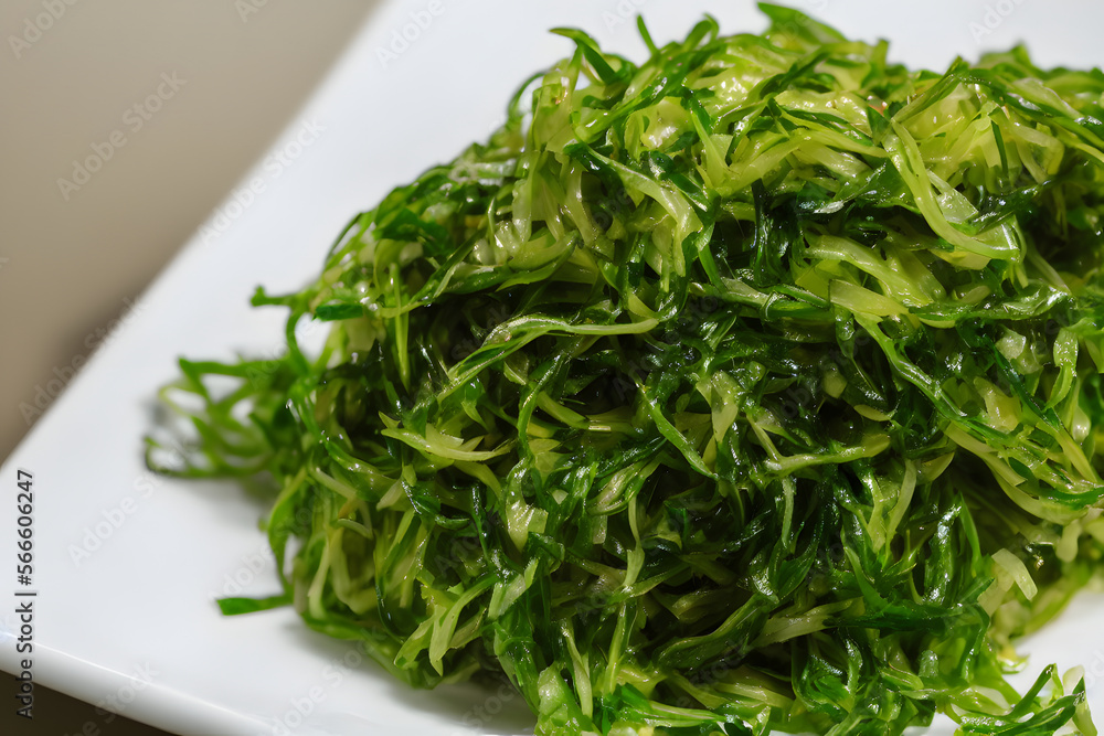 Realistic illustration of seaweed salad, using Generative AI Realistic illustration of seaweed salad, using Generative AI