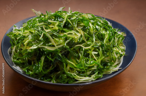 Realistic illustration of seaweed salad, using Generative AI