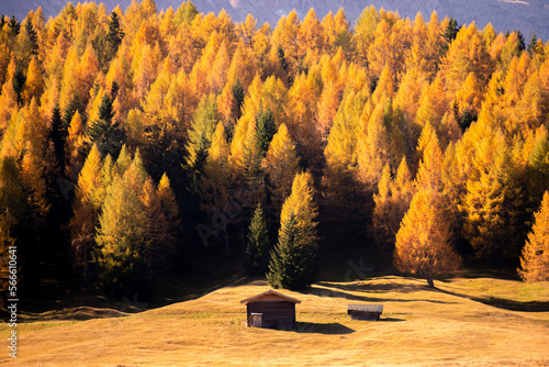 Wooden house in Dolomites, Italy photo