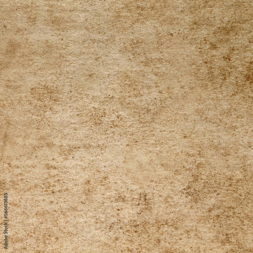 paper texture paper texture