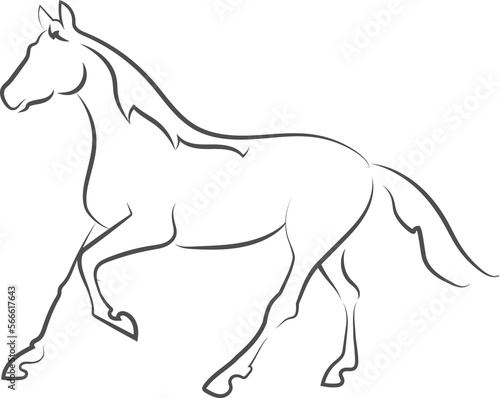 The horse is a slender  graceful animal  with highly developed muscles and a strong constitution. Black outline  symbols  logo