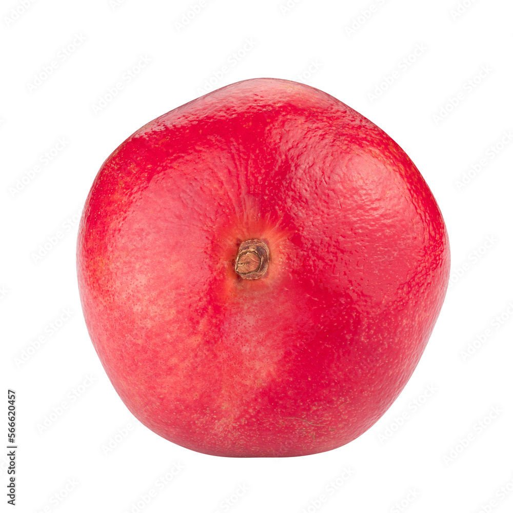 pomegranate fruit isolated on a transparent background pomegranate fruit isolated on a transparent background