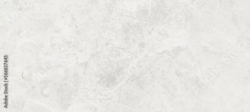 Obraz  z motywem Abstract color limestone marble rough texture background