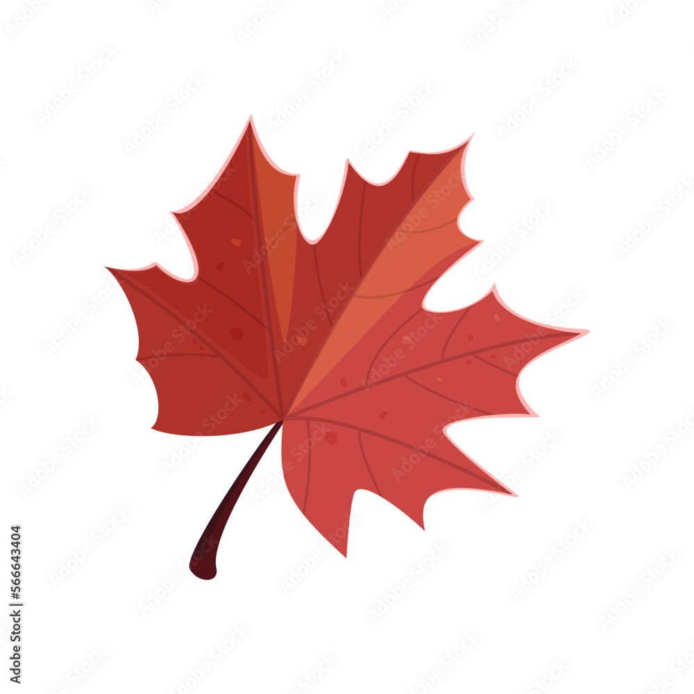 Red leaf sticker. Vector illustration of cute fall item. Cartoon leaf isolated on white background. Autumn decor concept Red leaf sticker. Vector illustration of cute fall item. Cartoon leaf isolated on white background. Autumn decor concept