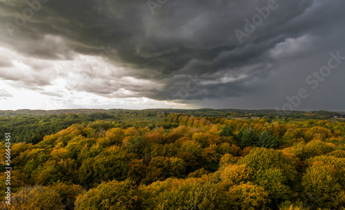 Dark storm clouds over the autumn forest