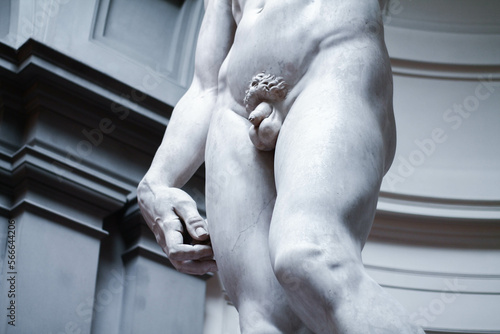 David de Miguel Angel detalles