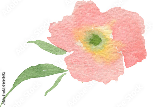 abstract watercolor bright flowers