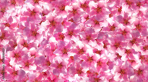 Seamless cherry blossom pattern design. fashion, interior, wrapping, wall arts, fabric, packaging, web, banner