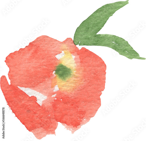 abstract watercolor bright flowers