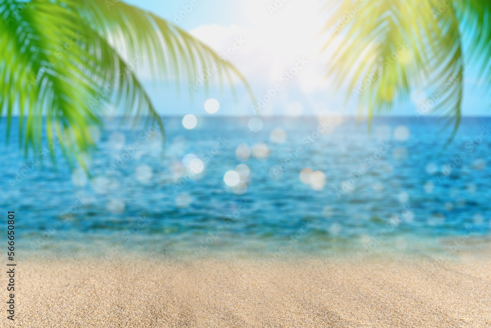 Fototapeta premium Blur of beautiful nature green palm leaf on tropical beach, abstract background.