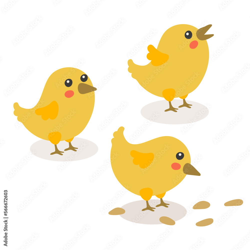 Cute cartoon chicken set. Funny yellow chickens in different poses, vector simple illustration. Chickens for Easter. Chicken to the seeds, looks at the top, screams. Isolated