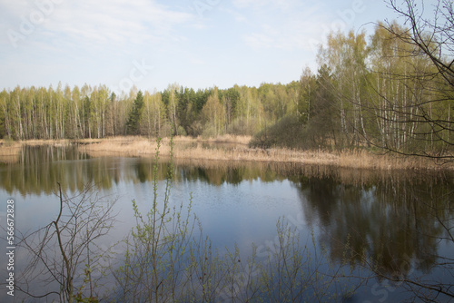 May in central  Russia. Lake in forest. Reflections in wate photo