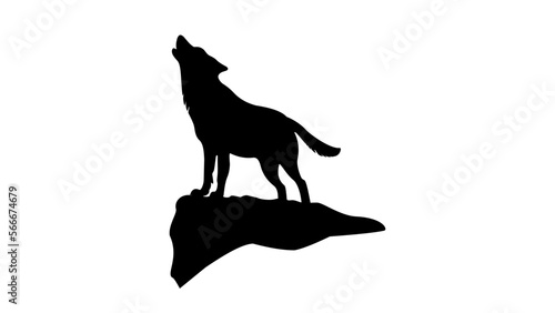 The wolf howls on the rock, silhouette