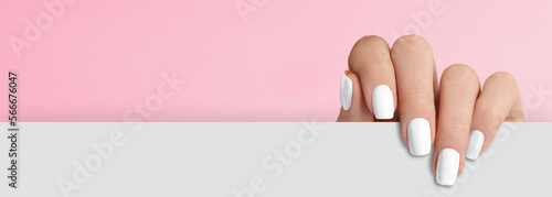 Fotografia, Obraz Manicured womans hand holding white paper