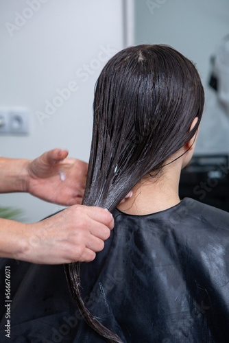 Hairdresser applies a hair mask to straight black hair. Hair care at the beauty salon.
