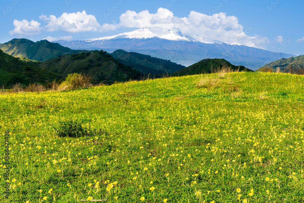 Panoramic view of idyllic mountain scenery in the Alps with fresh green meadows blooming on a beautiful sunny spring day