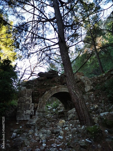 bridge over the river