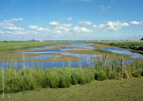 Marais breton vendéen, Pays de la Loire, 85, Vendée, France photo