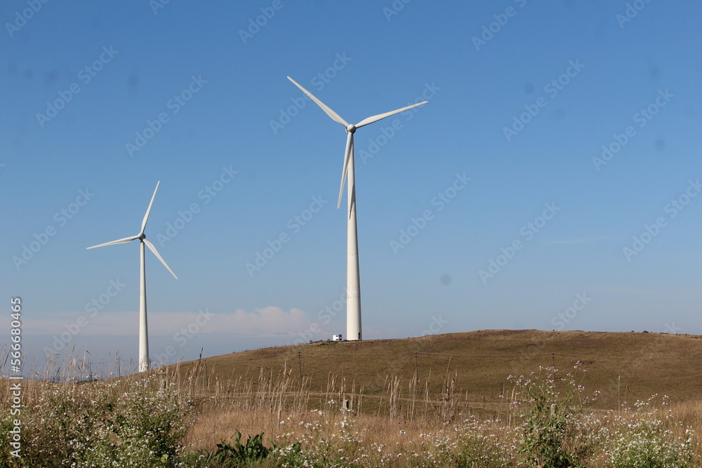 wind turbines farm wind turbines farm