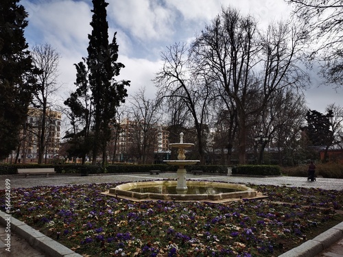 cemetery