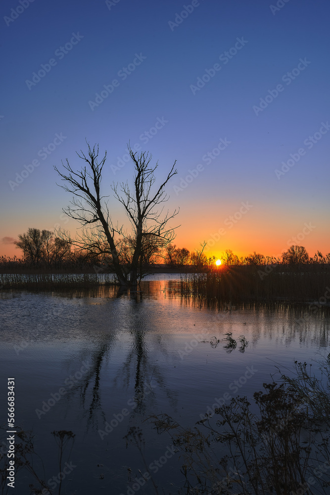 Sunrise at the lake with a tree and blue sky and water with reflections Sunrise at the lake with a tree and blue sky and water with reflections