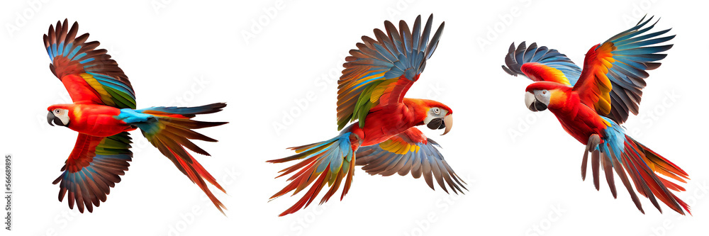 red macaw on transparent background for decorating projects. AI generative