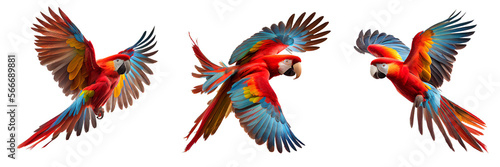 red macaw on transparent background for decorating projects. AI generative photo