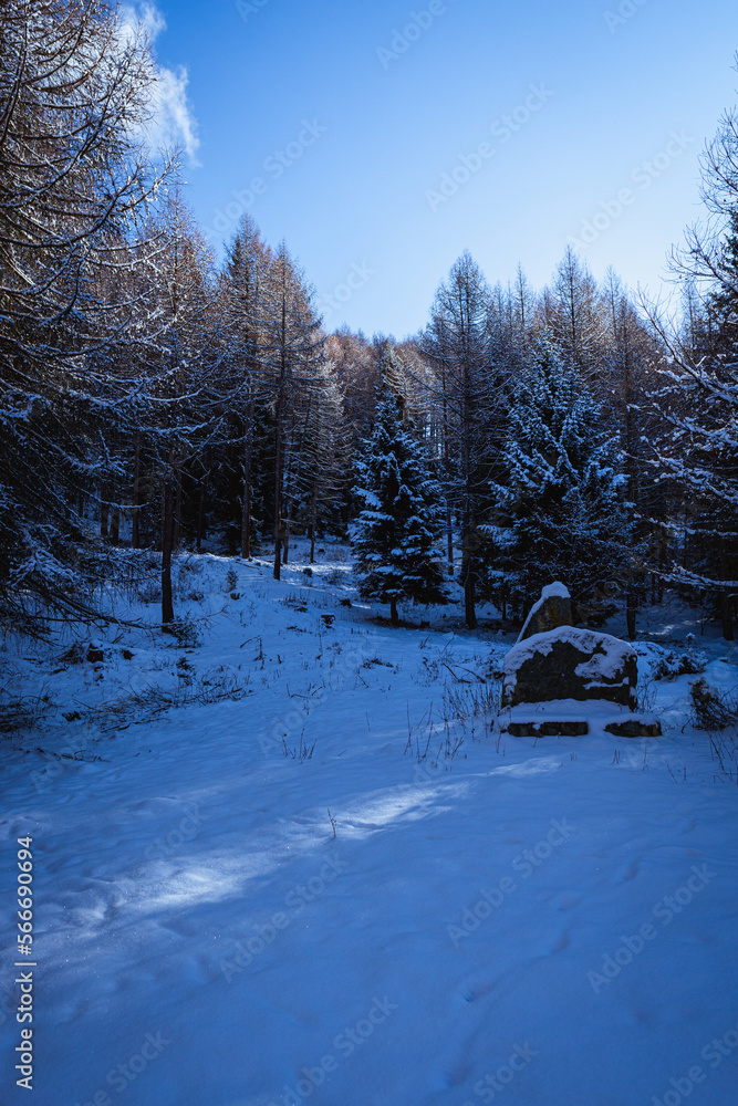 The Valtellina mountains, with its pastures, woods and fresh snow, during a wonderful winter day near the village of Sondrio, Italy - January 2023. The Valtellina mountains, with its pastures, woods and fresh snow, during a wonderful winter day near the village of Sondrio, Italy - January 2023.