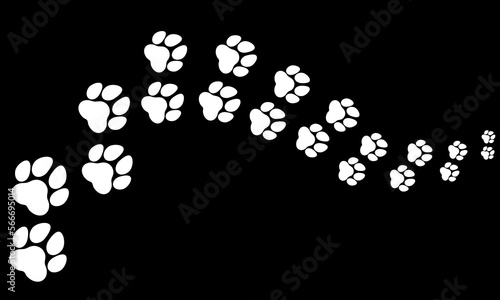 Dog paw prints trail on black background