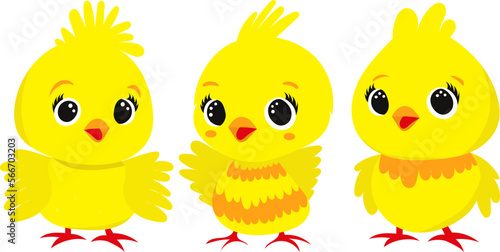 cartoon chicken character set in flat style, vector