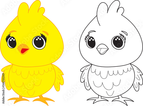 chick for childrens coloring book,character vector