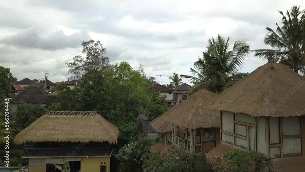 panoramic window bamboo hut over Bali rice field Smooth aerial view flight drone panoramic window bamboo hut over Bali rice field Smooth aerial view flight drone