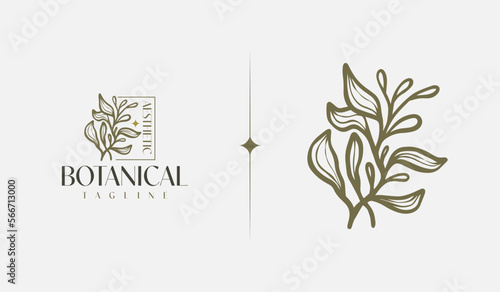 Botanical Plant Flower Monoline Line Art Line Drawing. Universal creative premium symbol. Vector illustration. Creative Minimal design template