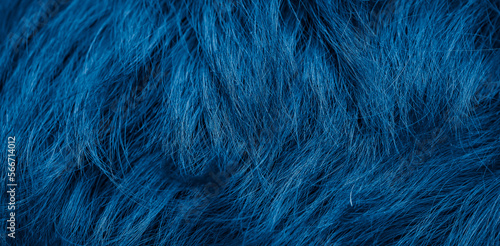 blue dog fur with visible texture. background