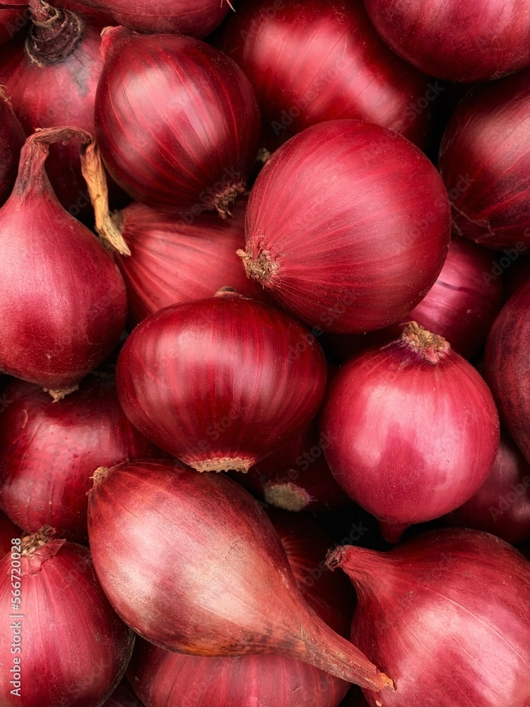 background of red onion close-up background of red onion close-up