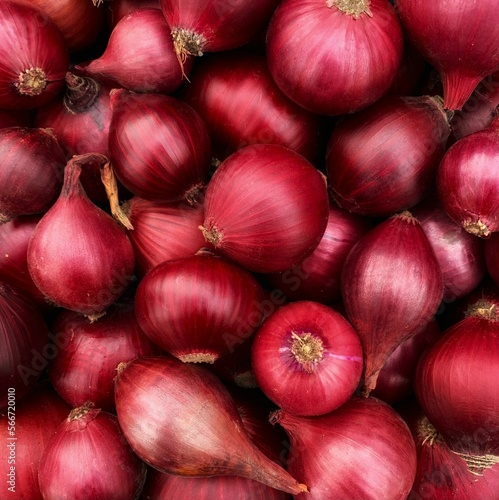Fotografi background of red onion close-up