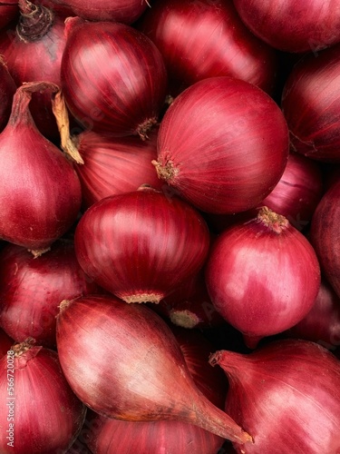 background of red onion close-up