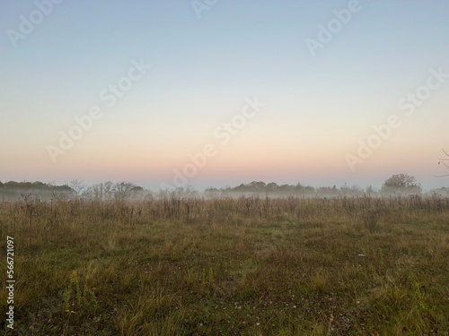 morning fog in the field