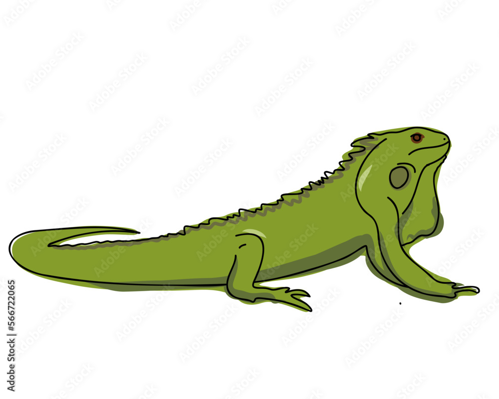 Iguana. Flat vector illustration Iguana. Flat vector illustration