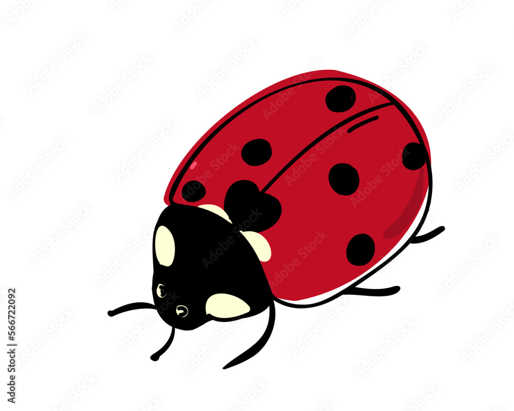 Obraz premium Ladybug isolated on white background. Doodle vector illustration