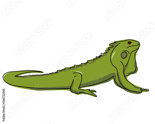 Iguana. Flat vector illustration