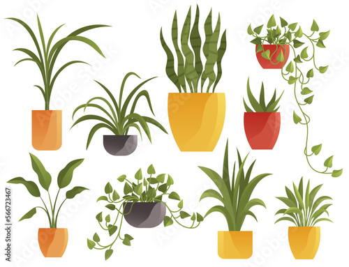 Plant in pot vector illustration flowerpots set. Cartoon flat different indoor potted decorative houseplants for interior home or office decoration, green garden floral collection isolated on white