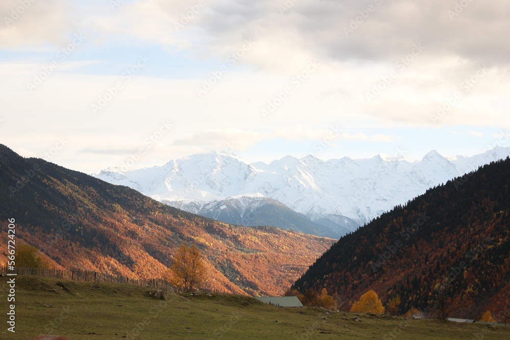 Picturesque view of mountain landscape with forest and meadow on autumn day