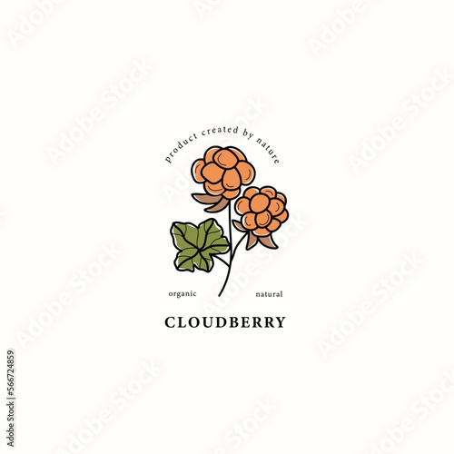 Line art cloudberry branch drawing
